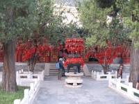 2011China 240